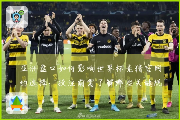 亚洲盘口如何影响世界杯竞猜官网的选择，投注前需了解哪些关键规则与差异？