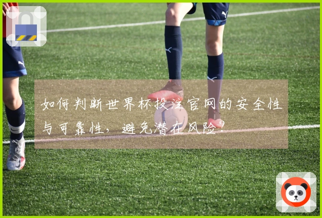 如何判断世界杯投注官网的安全性与可靠性，避免潜在风险？