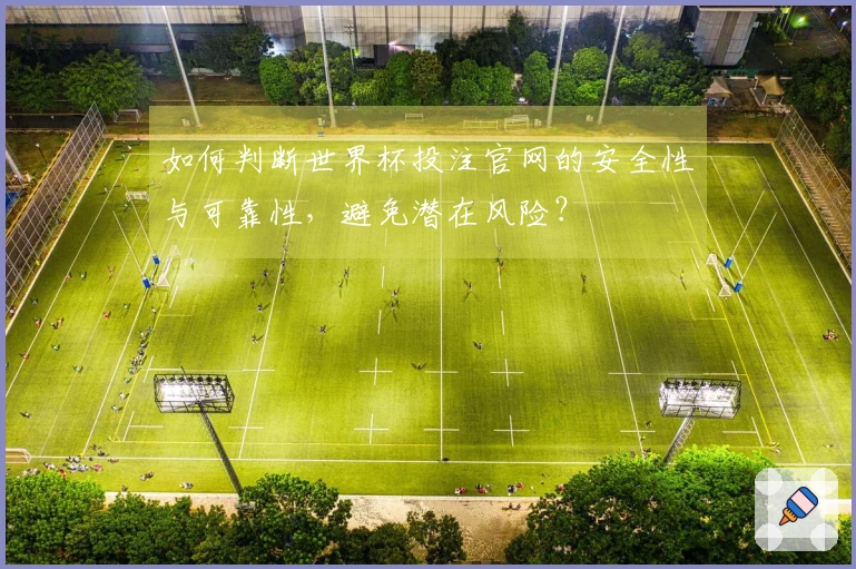 如何判断世界杯投注官网的安全性与可靠性，避免潜在风险？