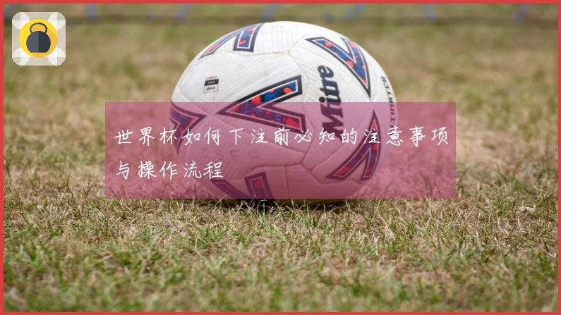 世界杯如何下注前必知的注意事项与操作流程